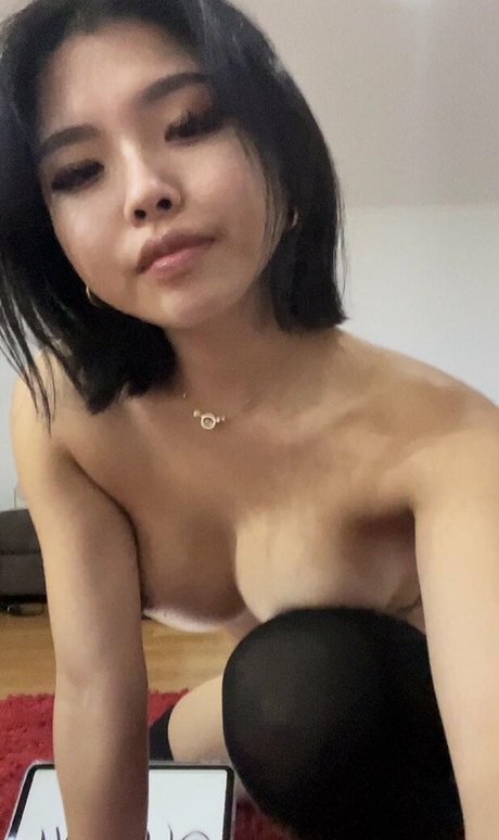 eves worldxo high quality star image