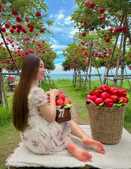 alice feetze best star images