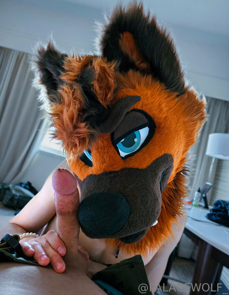 palacewolf star xxx img