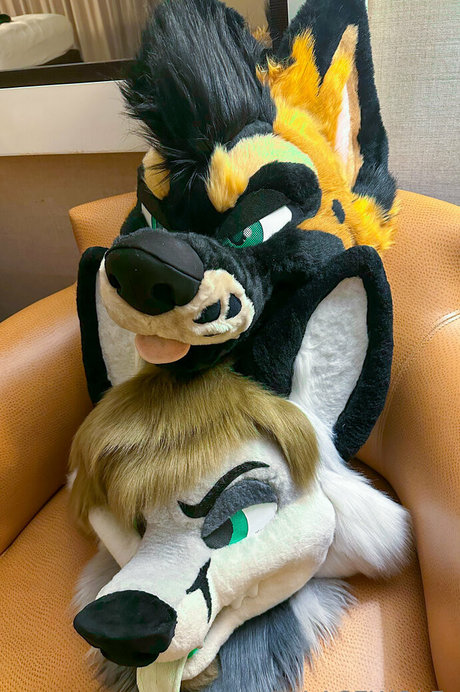 palacewolf pornstar erotic pictures