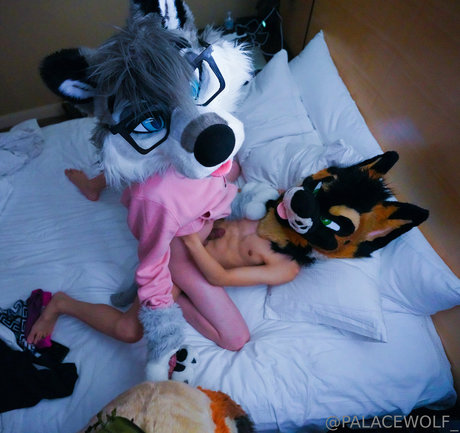 palacewolf pretty pornstar picture