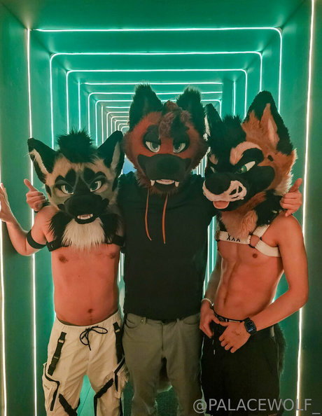 palacewolf nude pornstar pic