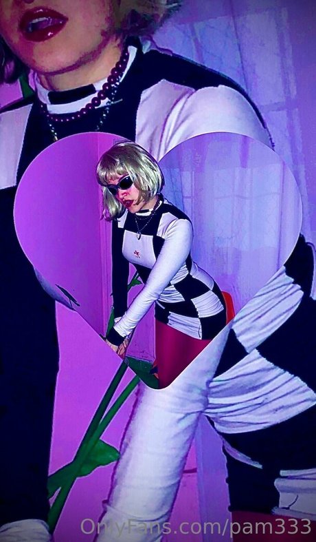 pam333 model free picture