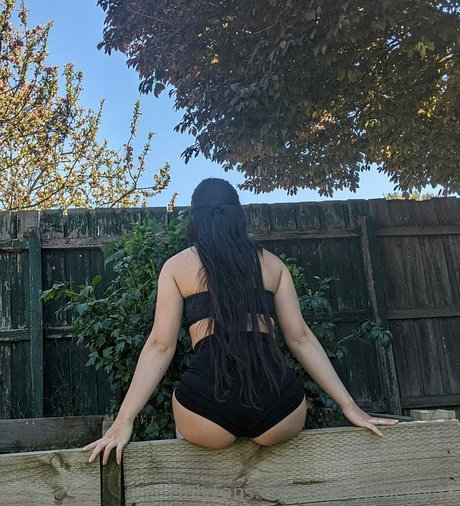 prettylittlelily48 perfect star gallery