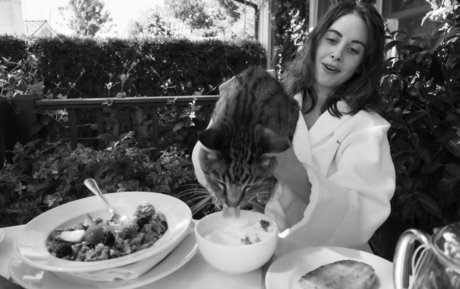 Alison Brie pornstar nudes archive