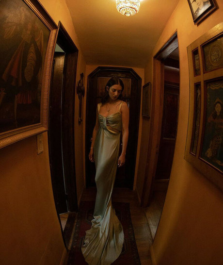 Alison Brie pornstar hd picture