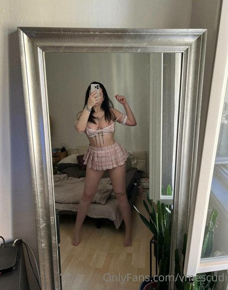 vmescudi star art image