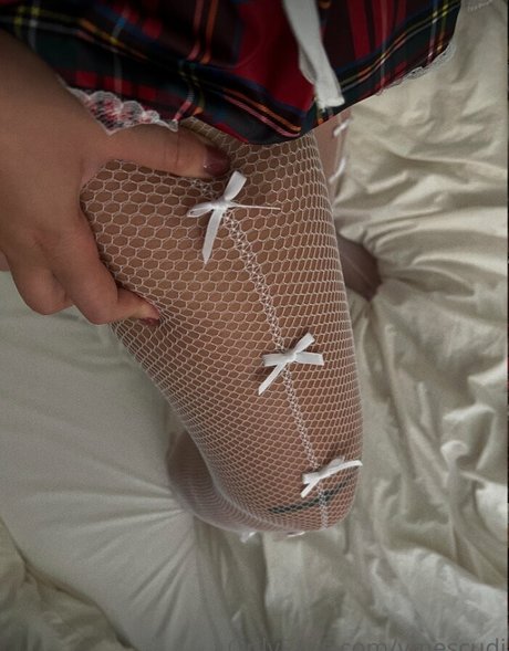 vmescudi top model galleries