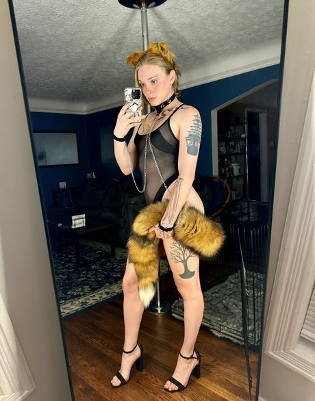 ivibabes star adult gallery