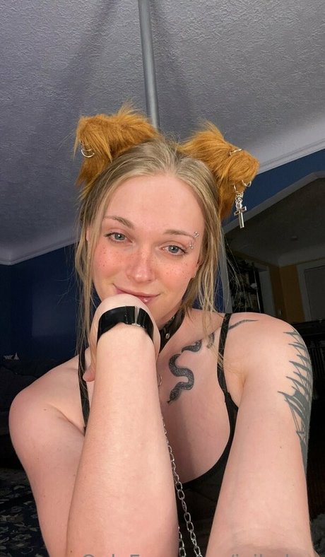 ivibabes perfect pornstar gallery