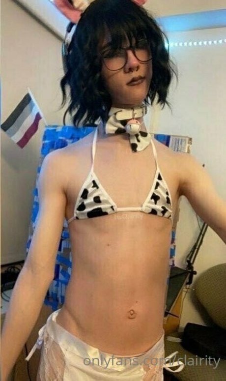 clairity model perfect gallery