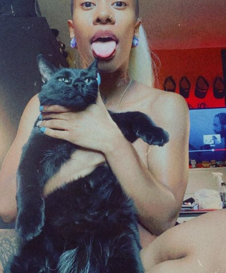 DragonPrincess pornstar sex img