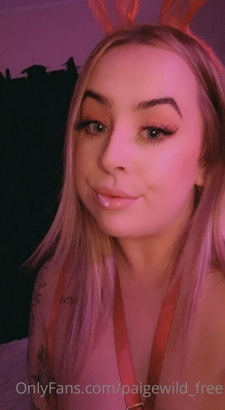 paigewild free model top pics
