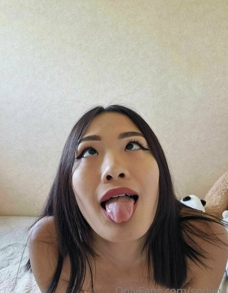 sodyna model perfect archive