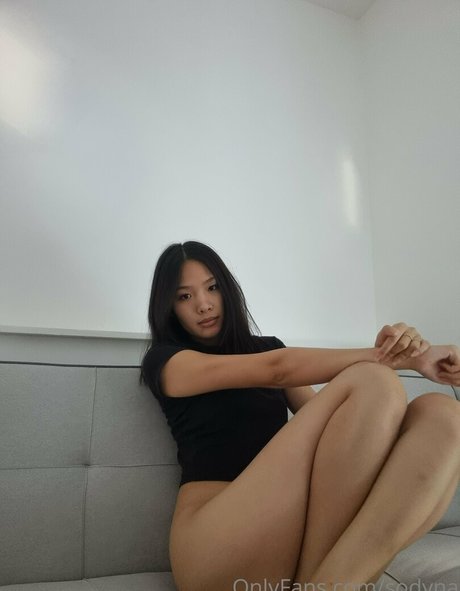 sodyna star nice galleries