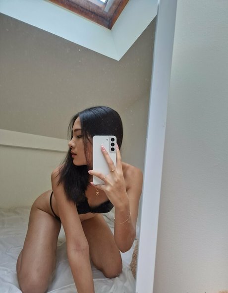 sodyna art star pictures