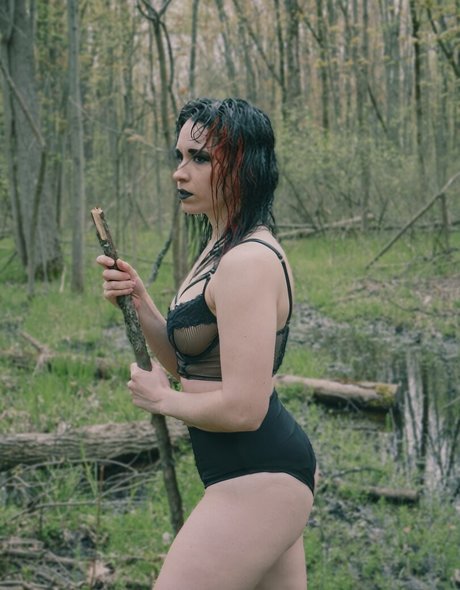 SunfyreTv star free gallery