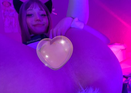 sofibabygatita star free gallery