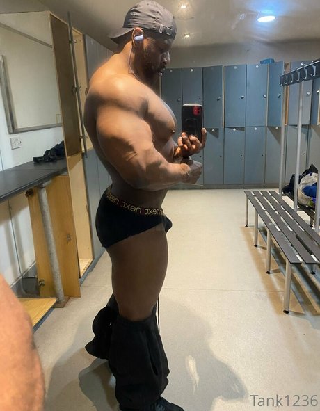 pleasure12368 pornstar archive