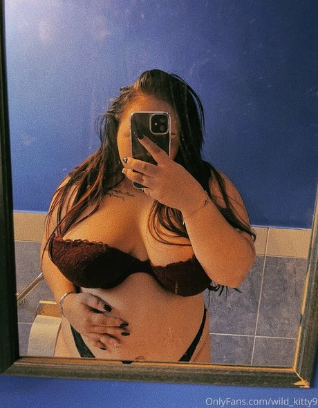 wild kitty9 model top img