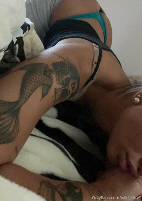 wild kitty9 best star pics