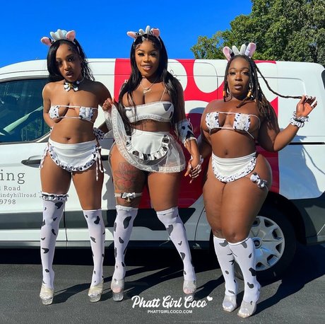 phattgirlcoco pornstar pretty image