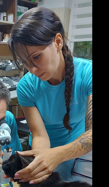 Vas Megyei Lanyok star porn images