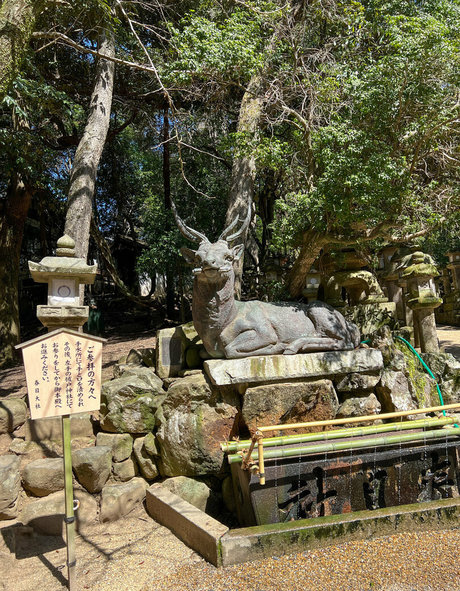 freefrost naked model gallery