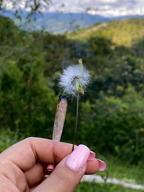 andrea 9864 high quality actress archive