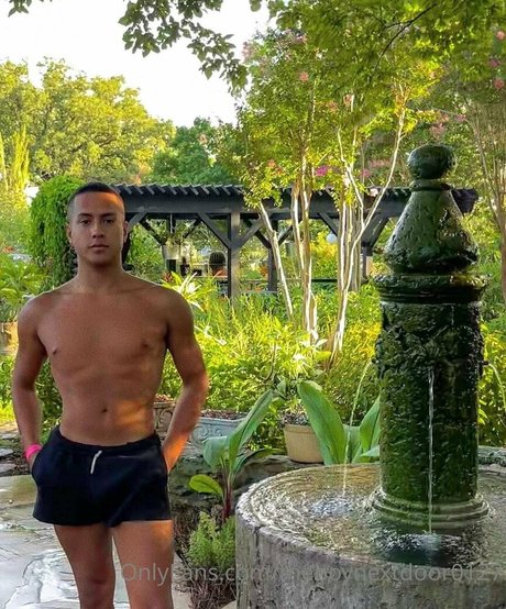 officailarq nudes star images