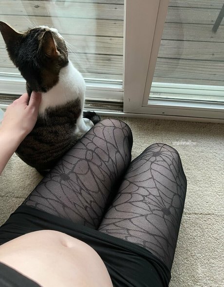 smashmelllow pretty pornstar pictures