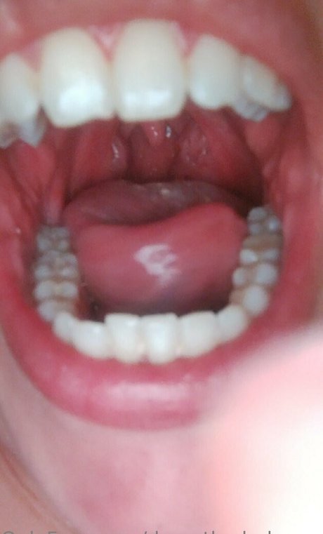 dana the lady vore exclusive actress gallery