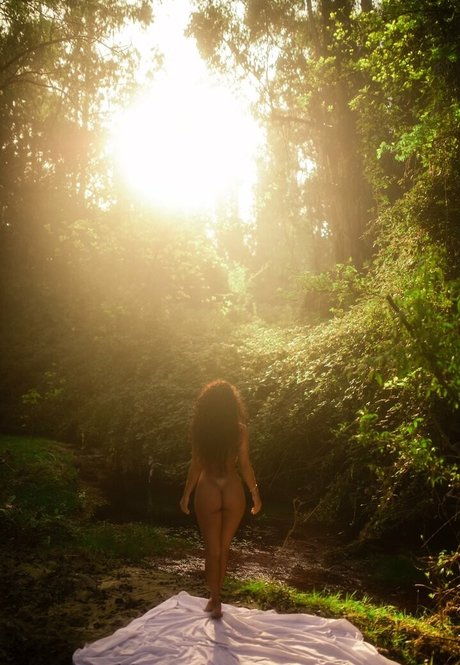 Pacizuniga star art galleries