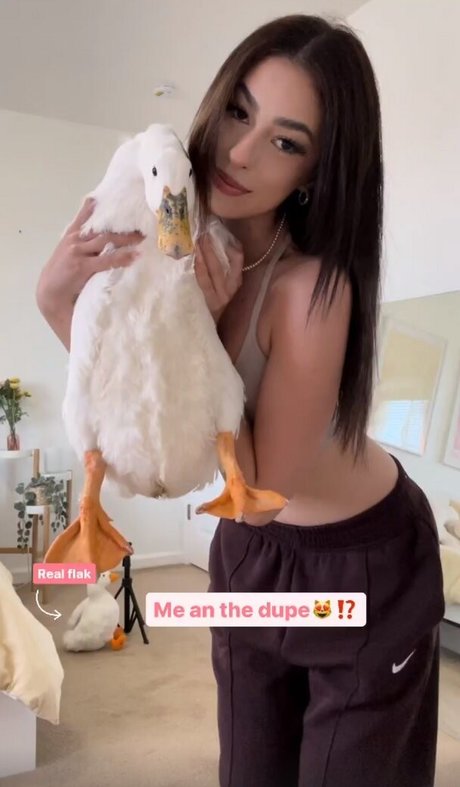 yyyudy pornstar perfect img