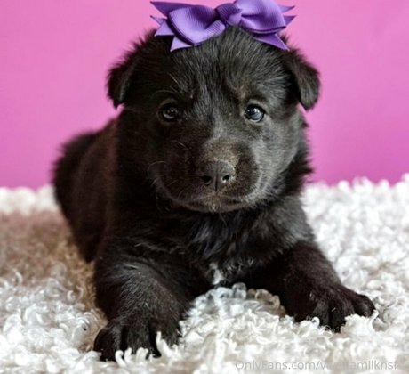 Villainous Coochie nice pornstar pictures