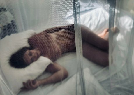 helensmith best pornstar photo