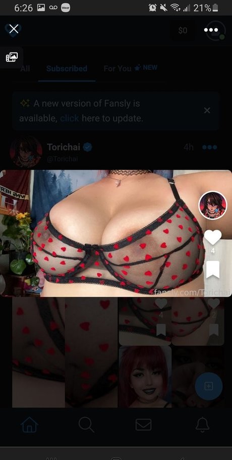 Torichai pornstar erotic archive