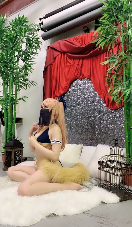 Vivid Vision perfect star galleries