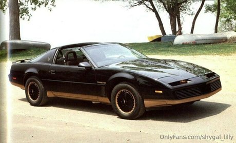 Shygal lilly nudes star image