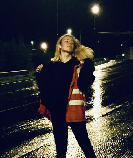 wilfjell star free pictures