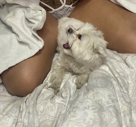 bbyekra adult star archive