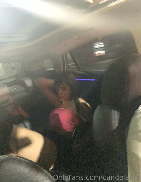 candelafire adult star galleries