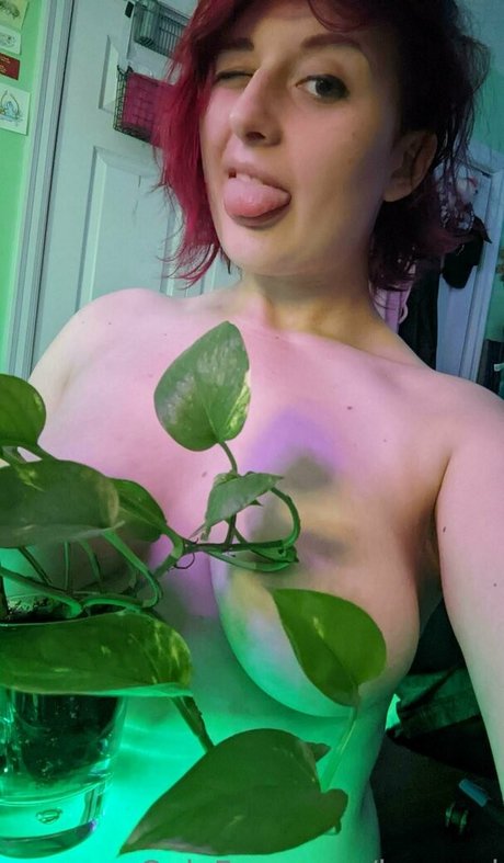 baeged nude pornstar galleries