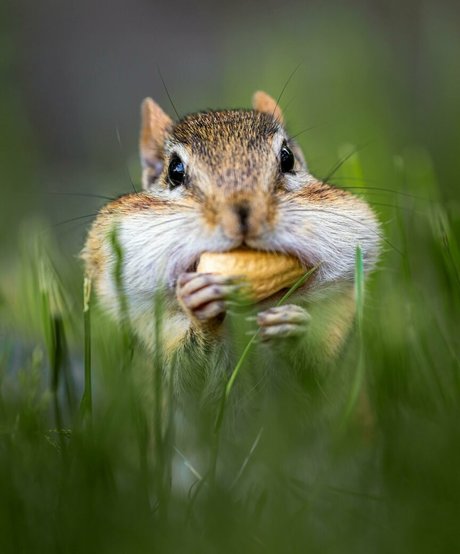 fatsackfails free model archive