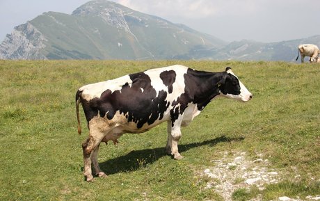 fatsackfails perfect actress images