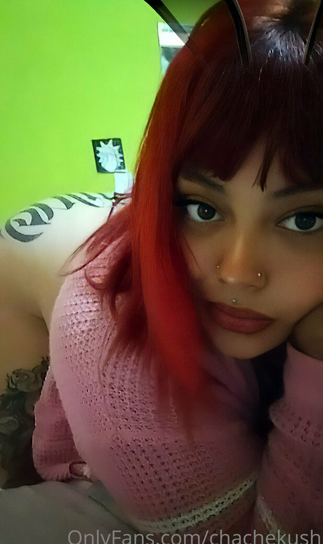 chachekush420 exclusive pornstar archive