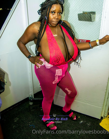 barrylovesboobs model art image