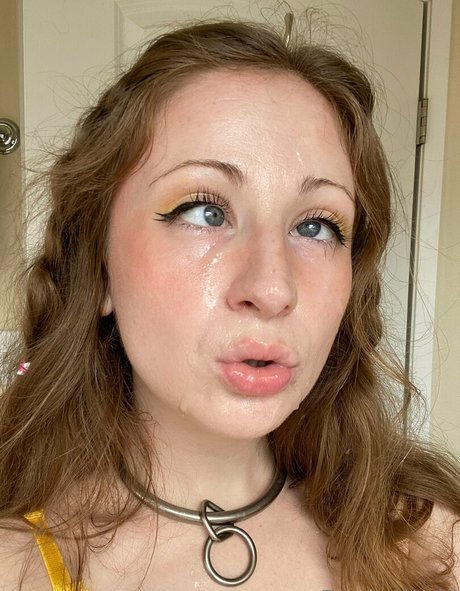 pandaworld best star archive