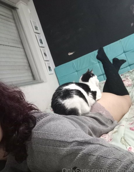 cacamoe star top image