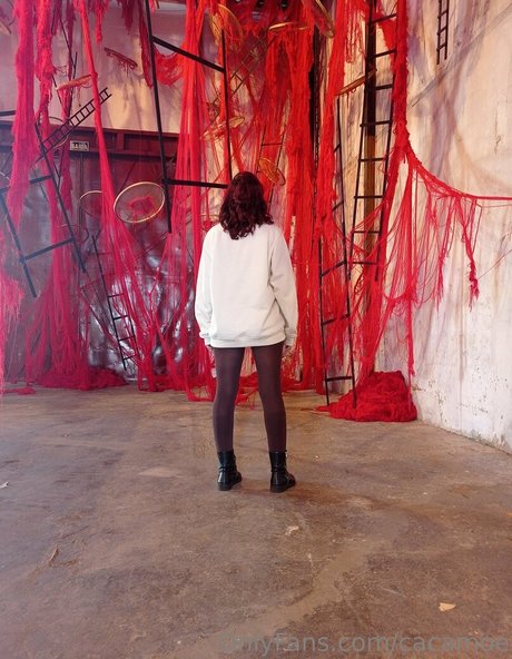 cacamoe star archive